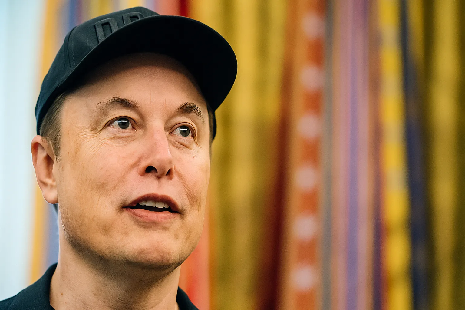 Elon musk establish new party